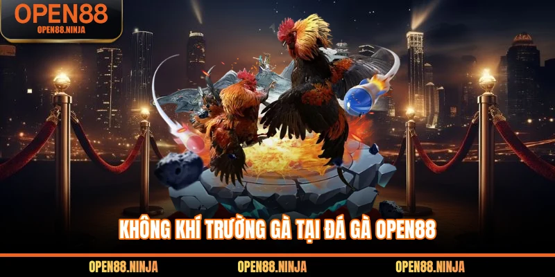Không khí trường gà tại đá gà Open88